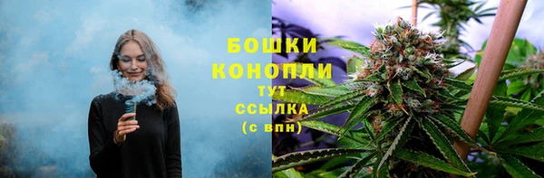 винт Наволоки