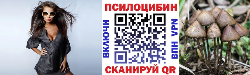 Псилоцибиновые грибы Magic Shrooms  Купить где  Приозерск 