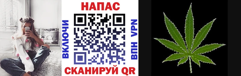Купить  Приозерск  Бошки Шишки тримм 